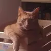 Dawn Coutts - @dawn.coutts4 - TikTok