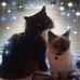 Dawn Lagerwey Coppock - Facebook