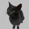 Dawn Capsey - @dawn.capsey - TikTok