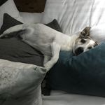 Sally Dawn Corbett - @corbettsally - Instagram