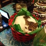 Dawn Corbin - @dawn.corbin.969 - Instagram