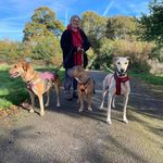 Dawn Cornell - @dawn.cornell.7 - Instagram
