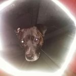 dawn cornell - @dawncornell77 - Instagram