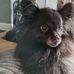Dawn Coutts - Facebook