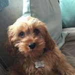 Dawn Coutts - @dawn.coutts - Instagram