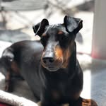 Dawn Coutts - @dawnccoutts - Instagram