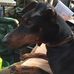Dawn Coutts - Facebook