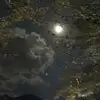coverdawn - @coverdawn - TikTok