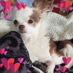 Dawn Patterson - @dawncovington61 - Instagram