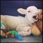 Dawn Crabtree - @dawncrabtree66 - Instagram