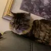 Dawn Craddock - @dawn.craddock - TikTok