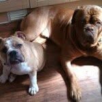 Dawn Craggs - @dawncraggs - Instagram
