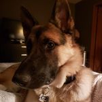 Dawn Cranker - @crankerdawn - Instagram
