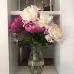 Dawn Crankshaw - @dawncrank - Instagram
