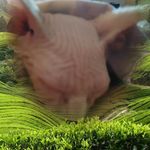 Dawn Crawley - @dawn.crawley.666 - Instagram