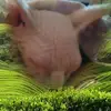 dawncrawley64 - @dawncrawley64 - TikTok