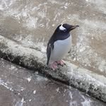 Dawn cressey - @cresseydawn - Instagram