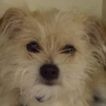 Dawn Crew - @dawniegirl2013 - Instagram