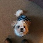 Dawn Crider - @dawncrider7 - Instagram