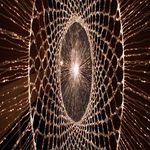 Dawn Crocker - @crocker.dawn - Instagram