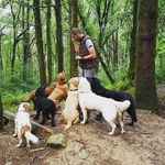 Dawn Crocker - @doggie.matters - Instagram