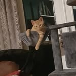 Dawn Croft - @croft639 - Instagram