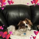 Dawn Crook - @dawncrook74 - Instagram