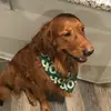 dawncrookhinson - @dawncrookhinson - TikTok