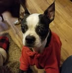 Dawn Crow - Facebook