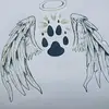 littledawncrow00 - @littledawncrow00 - TikTok