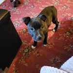 Dawn Cryer - @cryerdawn - Instagram