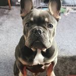 Dawn Culley - @culleydawn8492 - Instagram