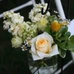 Dawn Currier - @dawnc814 - Instagram