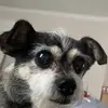 Dawn Dalton - @dawn.dalton3 - TikTok