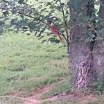 Dawn Dalton - @dawn.dalton.12979 - Instagram