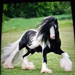 Dawn Dalzell - @dawndalzell49 - Instagram