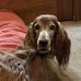 Dawn Darner - Facebook