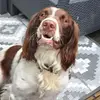 Dawn Dawes - @dawn.dawes4 - TikTok