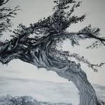 Dawn Deer - @dawn_the_deer23 - Instagram
