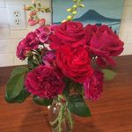 Dawn DeLong - @themamaho - Instagram