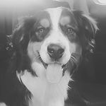 Tiffany Dawn Delong - @tiffanydawndelong - Instagram