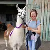 Dawn Dennison563 - @dawndennison563 - TikTok