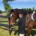 Dawn DeSantis - Facebook