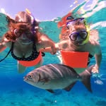Dawn Dickmann - @dawndickmann - Instagram