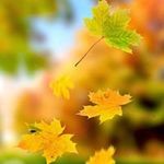 Dawn Pellino-Dilley - @pellinodilley - Instagram