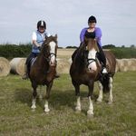 Dawn Dodds - @dawndodds12 - Instagram