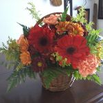 Dawn Dodson - @dawndodson632 - Instagram