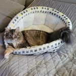 Dawn Dodson - @dadods6 - Instagram