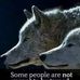 Dominica Dawn Dodson - Facebook