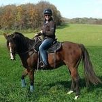 Dawn Doering - @dawn.doering - Instagram